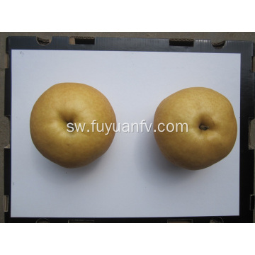 Singao Pear safi kutoka jimbo la Shandong